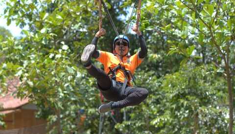 Flying fox Banyuwangi
