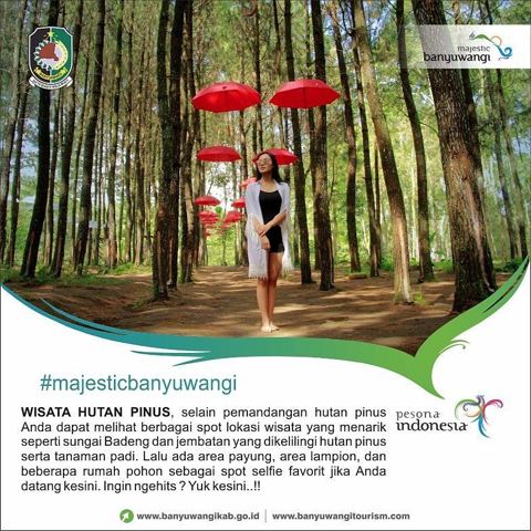 Wisata Songgon Banyuwangi